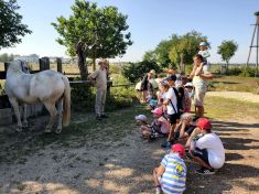 20200810_sommercamp_068 20200810_sommercamp_068