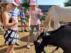 20200810_sommercamp_074 20200810_sommercamp_074