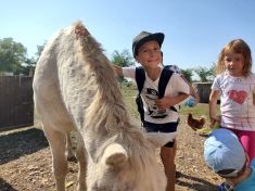 20200810_sommercamp_075 20200810_sommercamp_075